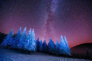 árbol mágico en la noche estrellada de invierno foto