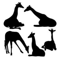 A set of giraffe vector silhouettes isolated on a white background.