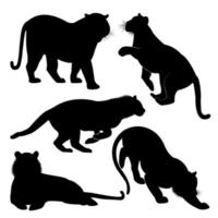 A set of tiger vector silhouettes isolated on a white background.