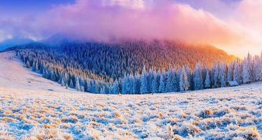 paisaje de invierno soleado foto
