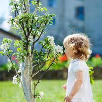 niño en los árboles en flor foto