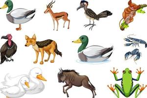 conjunto de diferentes tipos de animales vector