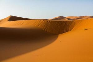 Beautiful sand dunes in the Sahara Desert in Morocco. Landscape in Africa in desert. photo