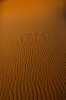 hermosas dunas de arena en el desierto del sahara en marruecos. paisaje en África en el desierto. foto