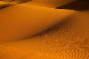 Beautiful sand dunes in the Sahara Desert in Morocco. Landscape in Africa in desert. photo