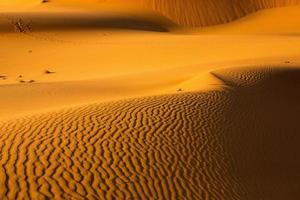 hermosas dunas de arena en el desierto del sahara en marruecos. paisaje en África en el desierto. foto