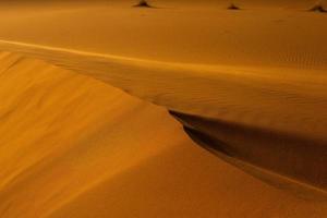 Beautiful sand dunes in the Sahara Desert in Morocco. Landscape in Africa in desert. photo