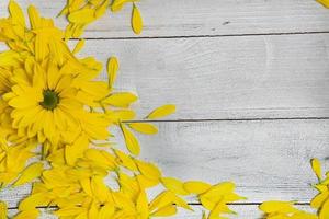 Flowers over painted wooden table. Flowers background for text. Floral background, flower border. Blossom flowers. photo