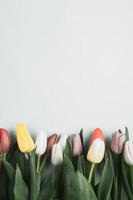 Banner with bouquet of tulips in pink and white colors. Concept of spring, Women's Day, Mother's Day, 8 March, the holiday greetings