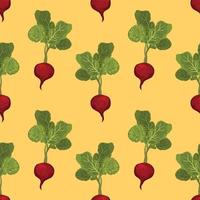 beatroot hand draw vegetable seamless pattern vector