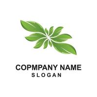 premium quality green leaf plant logo vector symbol