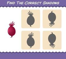 Find the correct shadows of cartoon beetroot. Searching and Matching game. Educational game for pre shool years kids and toddlers vector