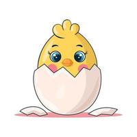 Chicken chick hatched from an egg on white isolated background. vector