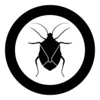 insecto chinche chinch insectos verdaderos hemípteros icono de plaga de insectos en círculo redondo color negro ilustración vectorial imagen de estilo plano vector