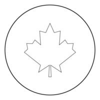 Maple leaf the black color icon in circle or round vector