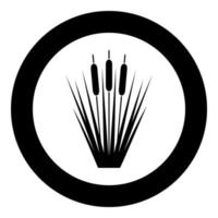 Reed Bulrush Reeds Club-rush ling Cane rush icon in circle round black color vector illustration flat style image