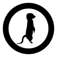 Meerkat in pose Suricata Suricatta silhouette in circle round black color vector illustration solid outline style image