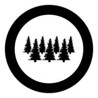 icono de abeto de abeto de bosque en círculo redondo color negro ilustración vectorial imagen de estilo de contorno sólido vector