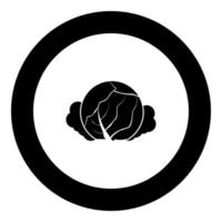 Cabbage icon black color in round circle vector