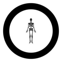 Human skeleton icon black color in round circle vector