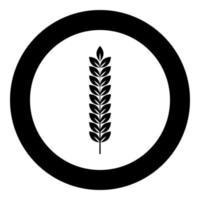 Spikelet of wheat Plant branch icon in circle round black color vector illustration flat style image