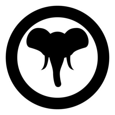 Elephant Nose Vector Art, Icons, and Graphics for Free Download
