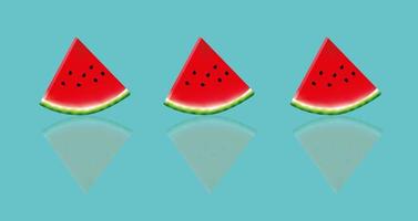 watermelon vector illustration photo