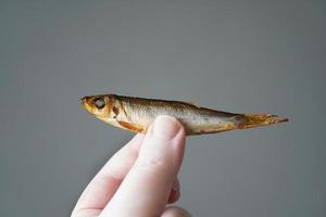 hand holding smoked sprat photo