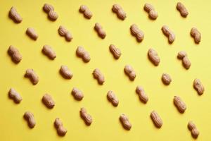 rows of peanuts arranged on yellow background photo