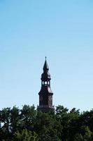 church tower above treetops photo