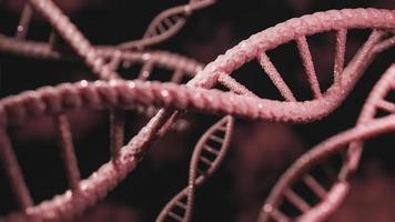 Concept of biochemistry with dna molecule.,3d model and illustration. photo