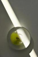 Abstract Ripe Pear With Cut from Sunrays photo