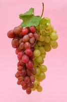 Red And White Grapes Bunches Isolated