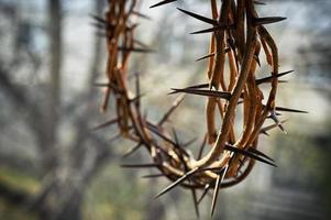 Crown of thorns and nature background photo