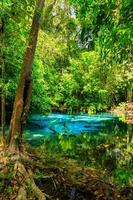 piscina azul, manantial turquesa cristalino escondido en medio del bosque, krabi, tailandia foto