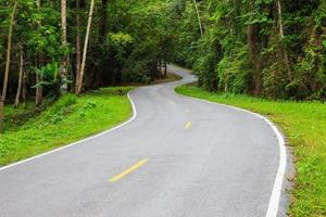 s - camino de curvas hacia el bosque con línea amarilla y blanca foto