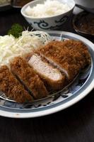 Japanese Set Meal, Tonkatsu Pork Cutlet with Rice photo