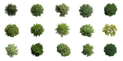 Collection of 3D tree top view isolated on white background, for use visualization in architectural design photo