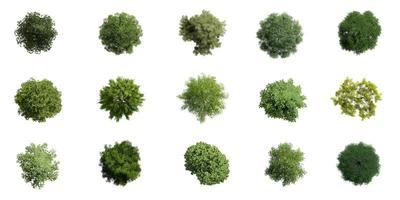 Collection of 3D tree top view isolated on white background, for use visualization in architectural design photo