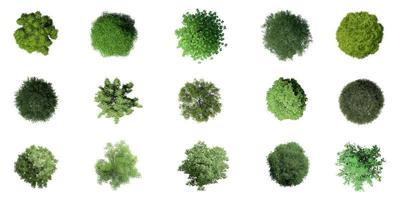 3D Top view Green Trees Isolated on white background , Use for visualization in architectural design photo