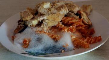 Food mold. Bad food with mold, pasta and meat. photo