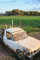 Old Rusty car in agriculture field photo