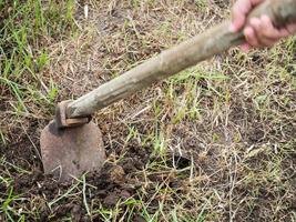 hoe in the garden photo