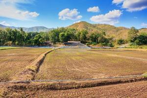 Agricultural Farm Field photo