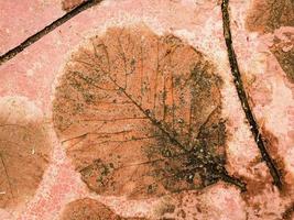 la huella de la textura de la hoja en el fondo del piso de cemento foto