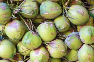 coconuts in the market photo