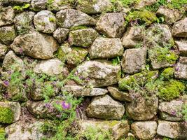 Old stone wall with moss