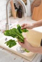 Woman Washing spinach in the Kitchen Sink photo