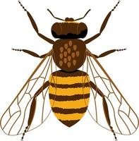 caricatura de abeja de miel plana vector