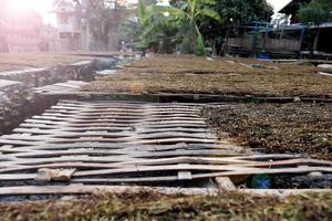 Drying tobacco leaves which had been sliced on the bamboo panel with natural sunlight. photo